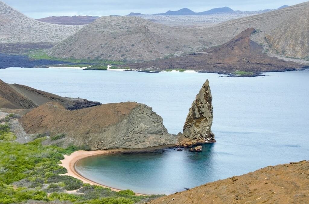 Terraso in The Galapagos